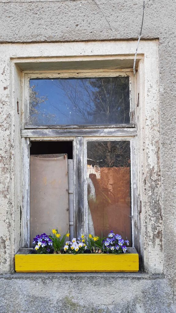 Gasthof Wallroda April 2021 mittleres Fenster mit Blumen